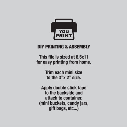 Funny 30th Birthday PRINTABLE Mini Signs, 30 Sucks, 30 Can Kiss it, 30 is Hot, 30 Rocks, Candy Signs